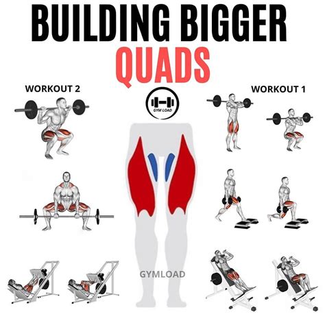 quad dominant exercises|The Best Quad Exercises and Workouts for Building Muscle.